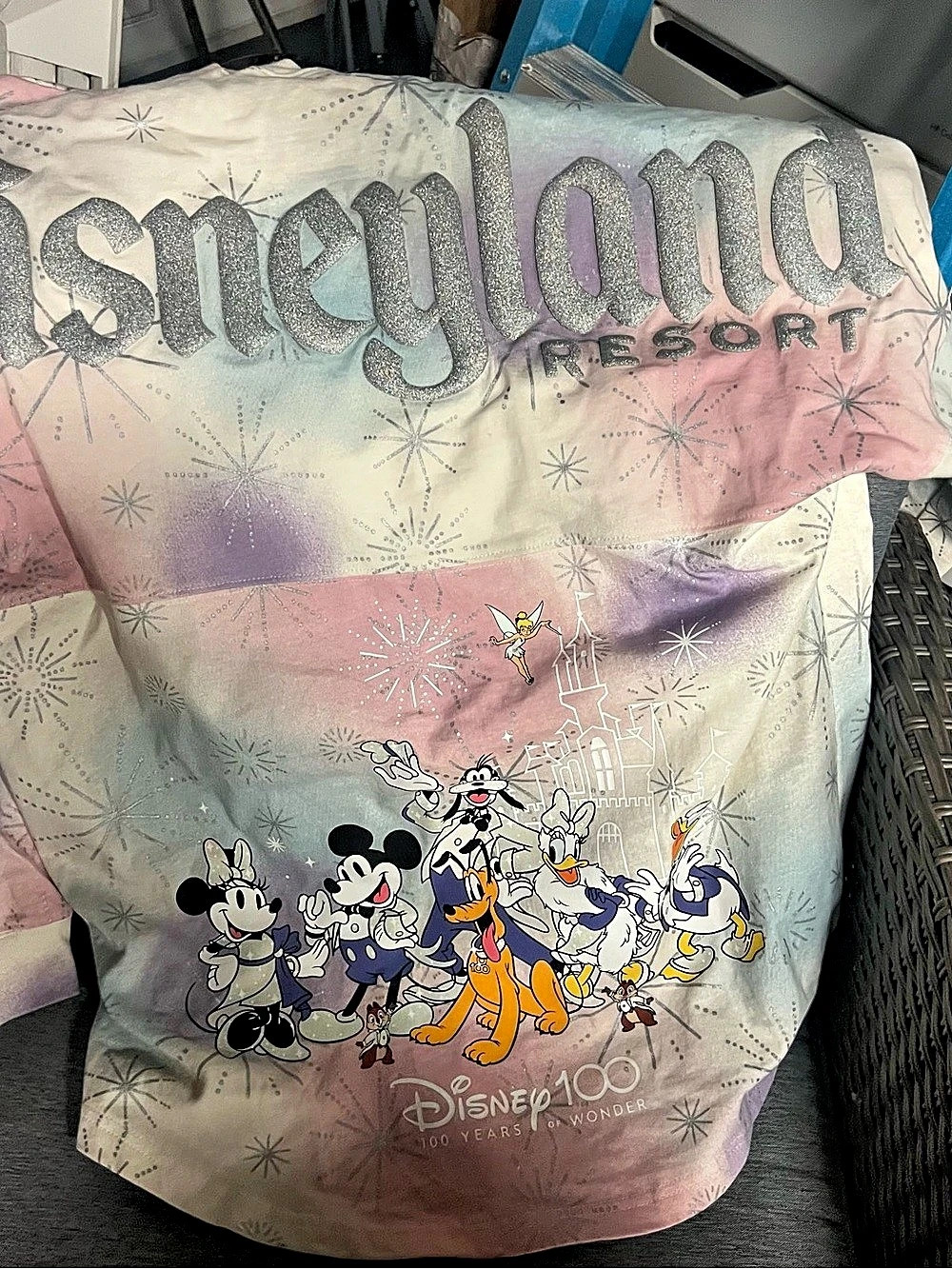 Disney Disneyland Resort Disney 100 Years of Wonder Spirit Jersey